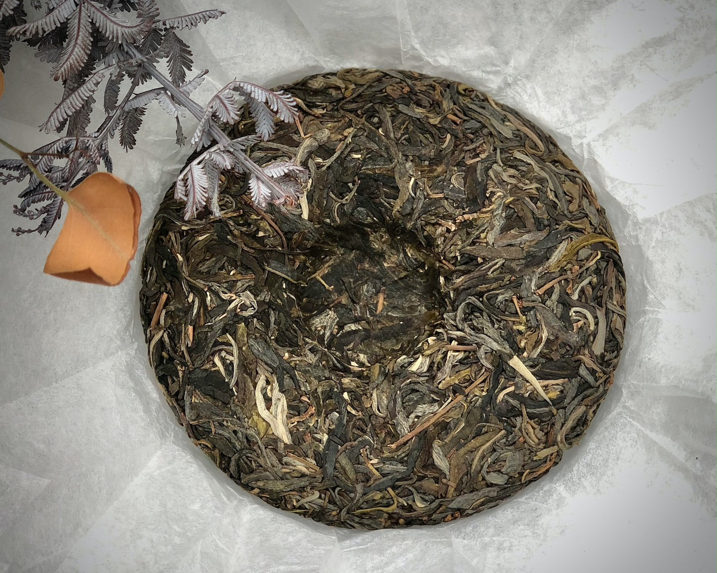 Yiwu Symphony 2021 Spring