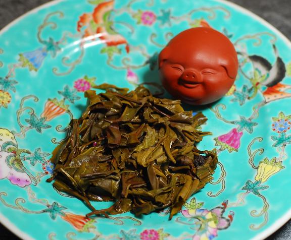 Along the Border 2018 Spring - Teaurchin