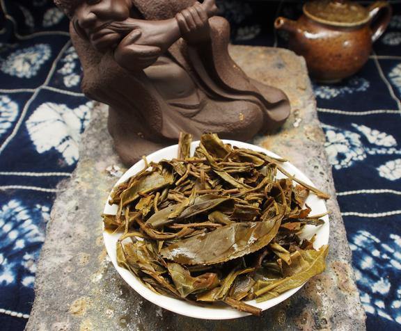 Dark Forest 2015 Spring - Teaurchin