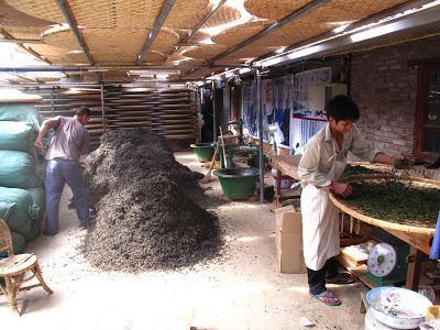 郑四隆 Zheng Si Long factory, Yiwu - Teaurchin