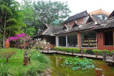 Tong Qing Hao commemorative Puer - Teaurchin