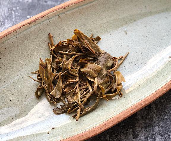 Lao Man E 2019 Spring - Teaurchin