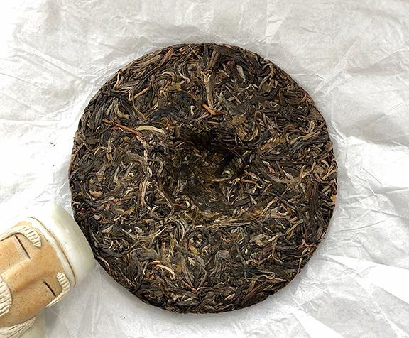 Xi Kong 2019 Spring - Teaurchin