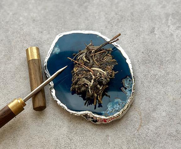 Xi Kong 2019 Spring - Teaurchin