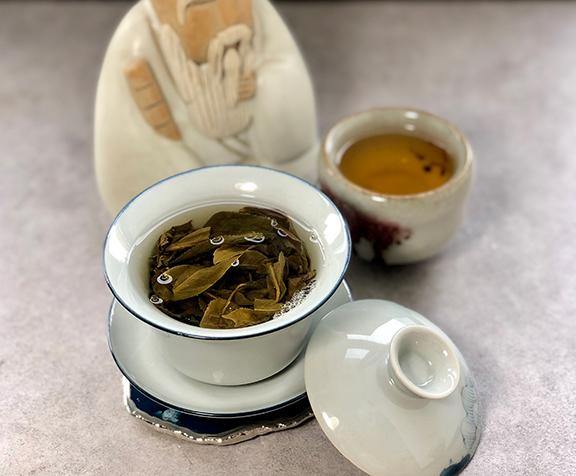 Xi Kong 2019 Spring - Teaurchin