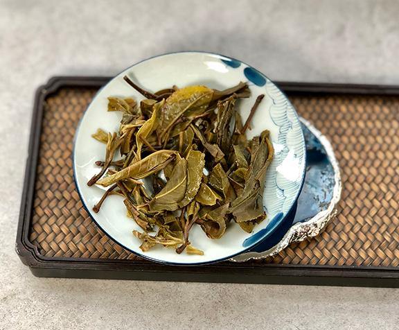 Xi Kong 2019 Spring - Teaurchin