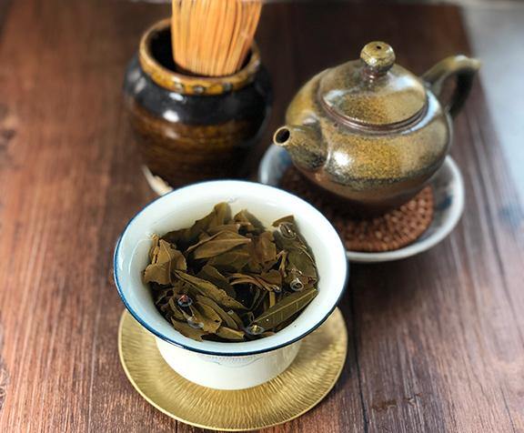 Mang Zhi 2019 Spring - Teaurchin