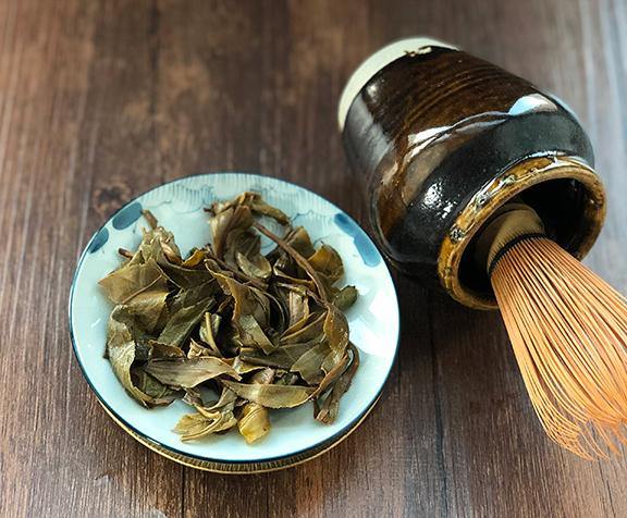 Mang Zhi 2019 Spring - Teaurchin