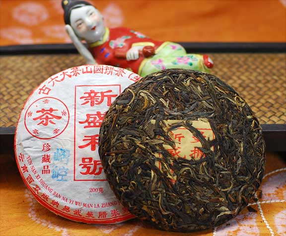 Xi Kong 2011 Autumn