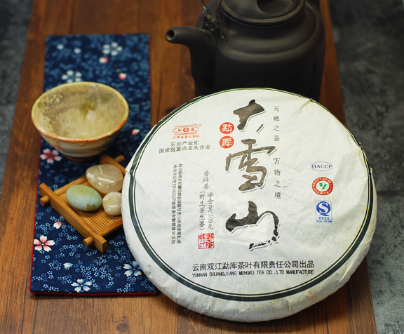 Mengku Great Snow Mountain 2010 Spring - Teaurchin