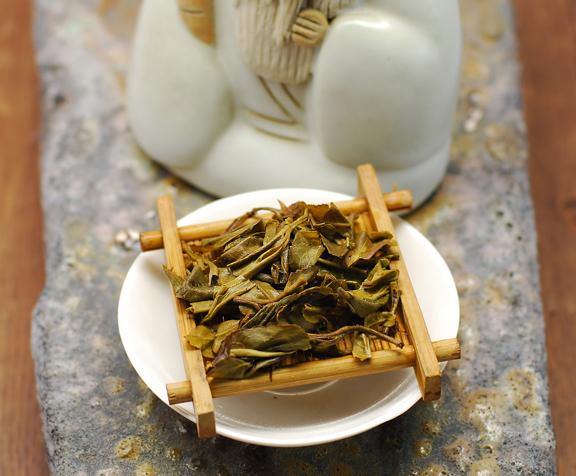 Mang Zhi 2015 spring - Teaurchin