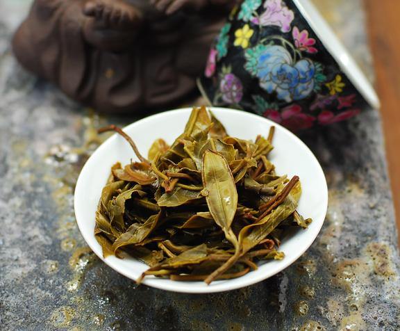 Bao Tang 2017 Spring - Teaurchin