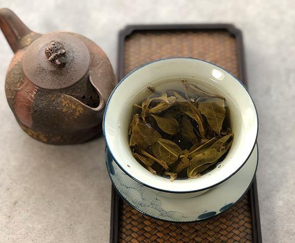 Yi Bang 2019 Spring - Teaurchin