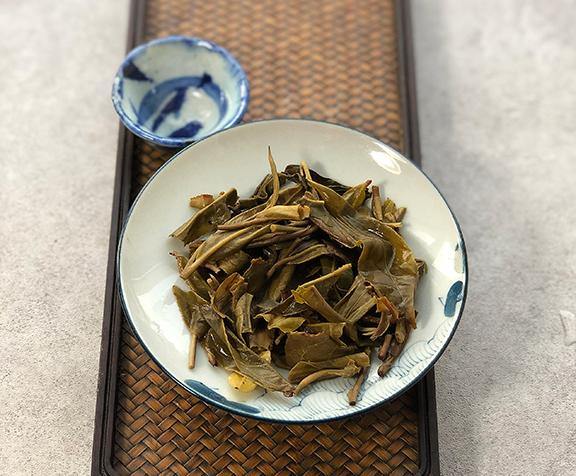 Yi Bang 2019 Spring - Teaurchin